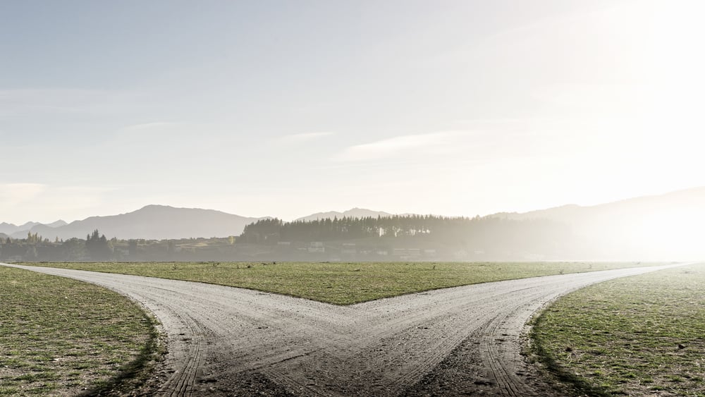The Career Pathing Playbook: Unlock Growth, Retention, and Innovation