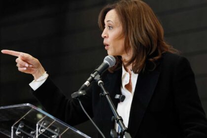 What Analyses of the 2024 Election Are Getting Wrong